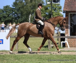 Whixall's Candy Boy Irish Sport Horse Jumper photo 8