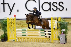 Monaco Dutch Warmblood Equitation photo 6