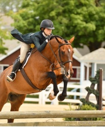 DJ Oldenburg Hunter photo 1