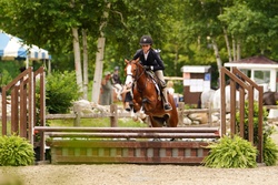 Belle Welsh Pony Jumper photo 6