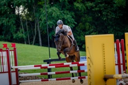 Balou Other Breed Jumper photo 3