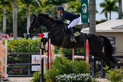 Jakira R Dutch Warmblood Jumper photo 2