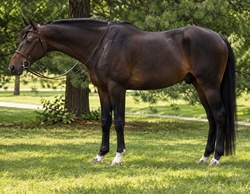 Cordell Oldenburg Hunter photo 2