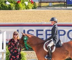 Straight Shooter Welsh Pony Hunter photo 7