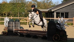 Zazou Other Breed Hunter photo 6