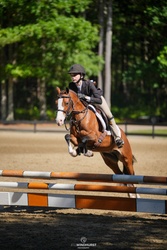 Belle Welsh Pony Jumper photo 2