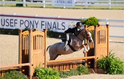 Shenandoah Honky-Tonk Welsh Pony Hunter photo 4