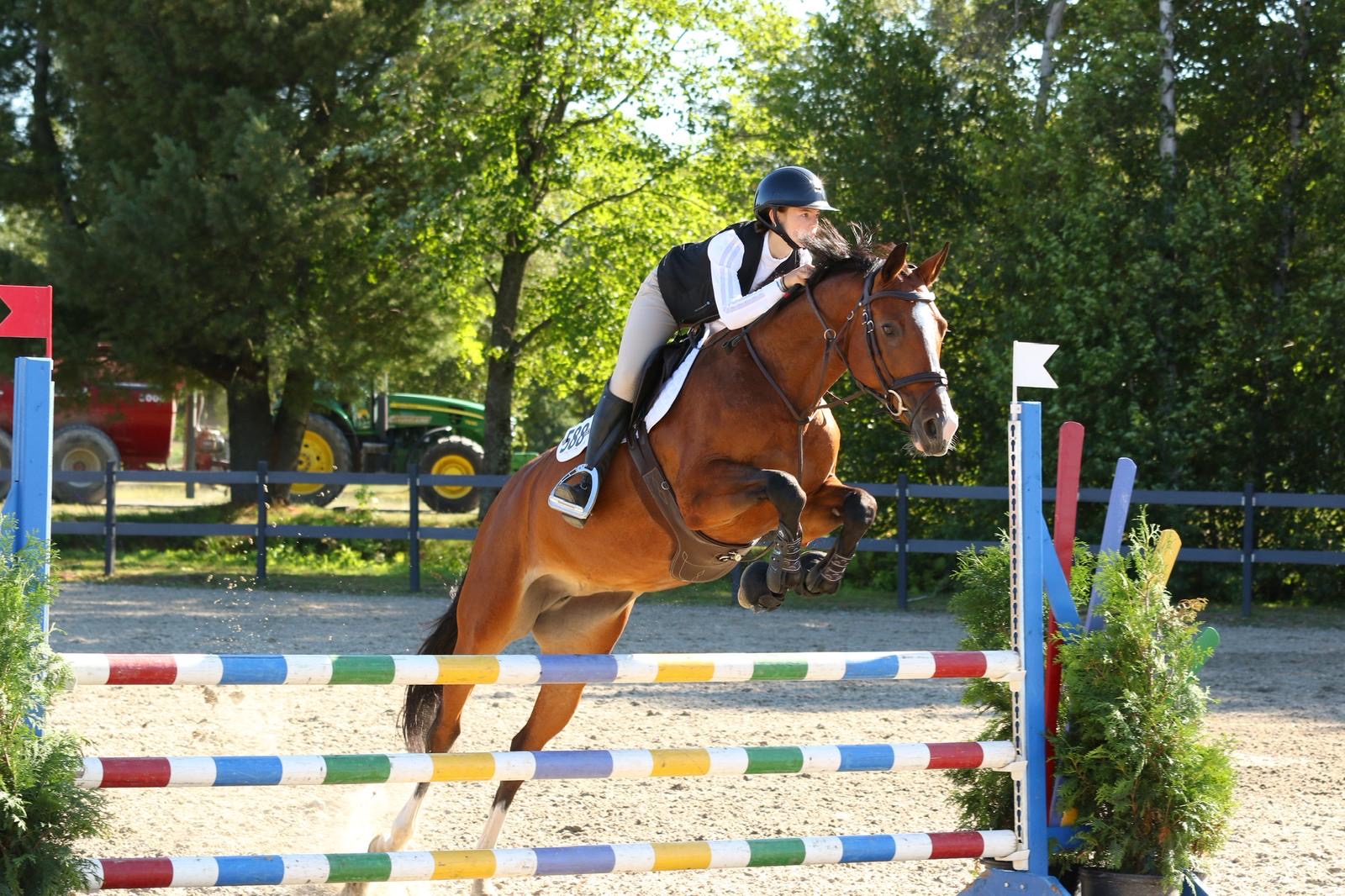 Beaulieu Springbreak