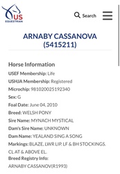 Arnaby Cassanova Welsh Cross Jumper photo 4