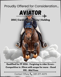 AVIATOR German Riding Pony Jumper photo 1
