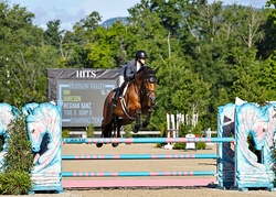 Jameson Irish Sport Horse Jumper photo 1