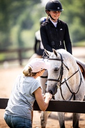 Glencameron's Navy Boy Welsh Cob Hunter photo 8