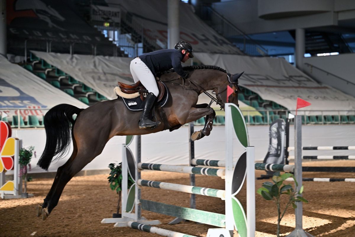 Baggio‘s girl Future GP Horse