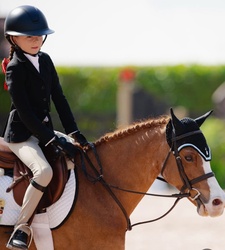 Beach Please Welsh Pony Hunter photo 2