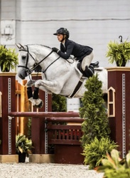 Tissot Z Zangersheide Equitation photo 3