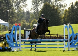 Primrose Oldenburg Jumper photo 3