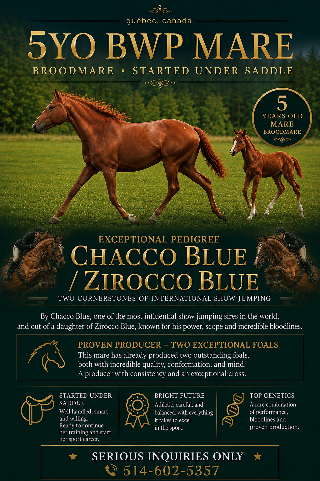 VIP CHACCA BLUE SR
