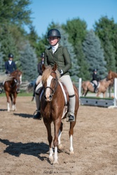 Golden Dream PF German Riding Pony Hunter photo 5