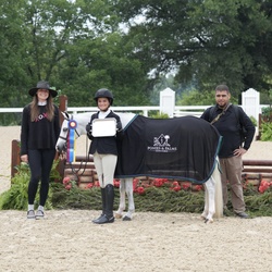 Boca's Stars Go Blue Warmblood Cross Hunter photo 3