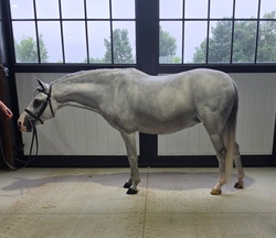 Fettuccine Welsh Cross Jumper photo 4