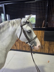Fettuccine Welsh Cross Jumper photo 2