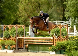Monaco Dutch Warmblood Equitation photo 5