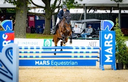 Lillet Oldenburg Jumper photo 1