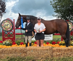 Qrazy Love HF Oldenburg Jumper photo 1