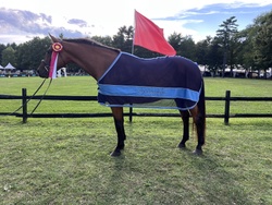 Kenzo Westphalian Hunter photo 4
