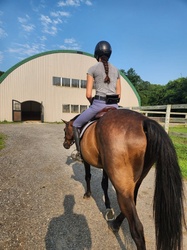 Rolo English TB Hunter photo 3