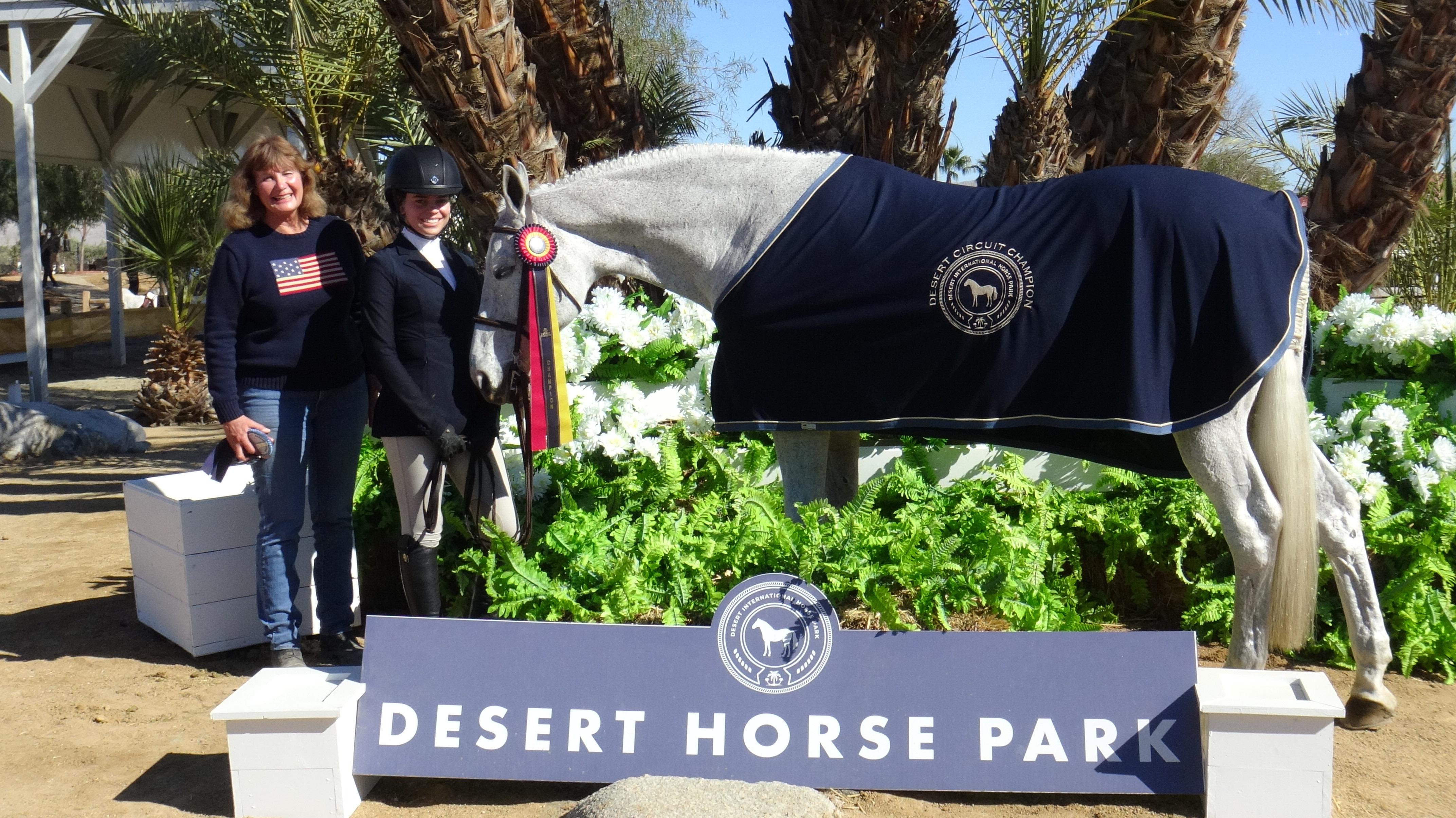 Country Grammar Oldenburg Equitation