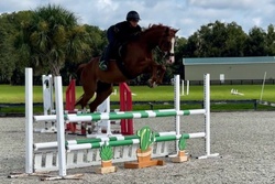 Chasity Van Blu Z Zangersheide Jumper photo 2