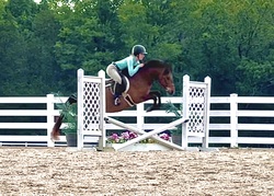 Ferrero Rocher Welsh Cross Hunter photo 12