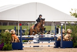 Rocsegreto aka “Greg" Oldenburg Jumper photo 1
