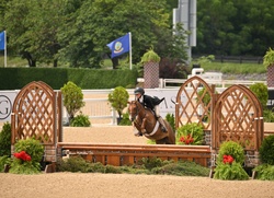 Glamour Girl Welsh Pony Hunter photo 5