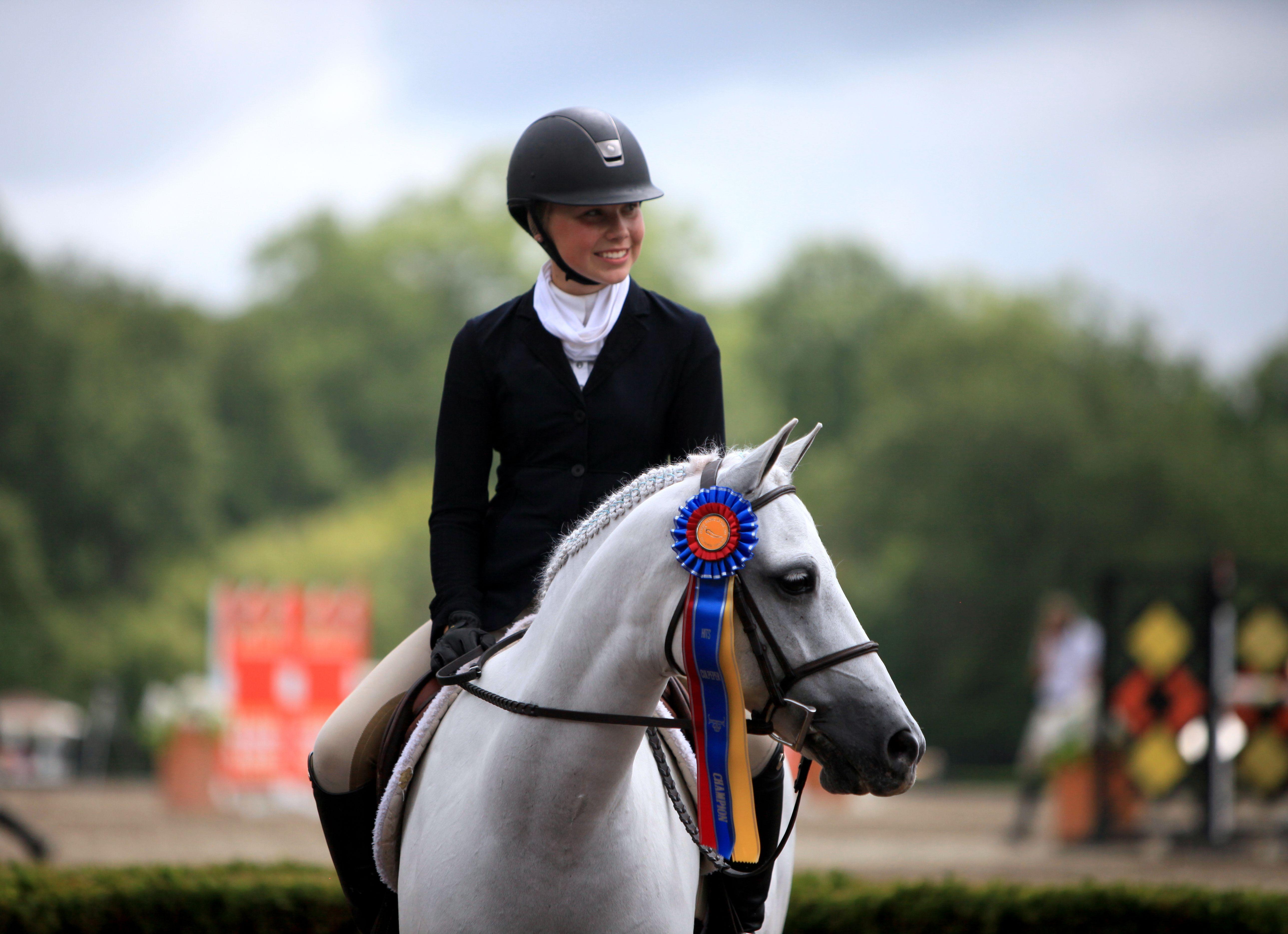 Farnley Marathon Welsh Pony Hunter