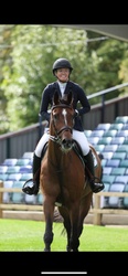 Innovate HBF Dutch Warmblood Jumper photo 6