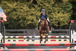 AVIATOR German Riding Pony Jumper photo 6