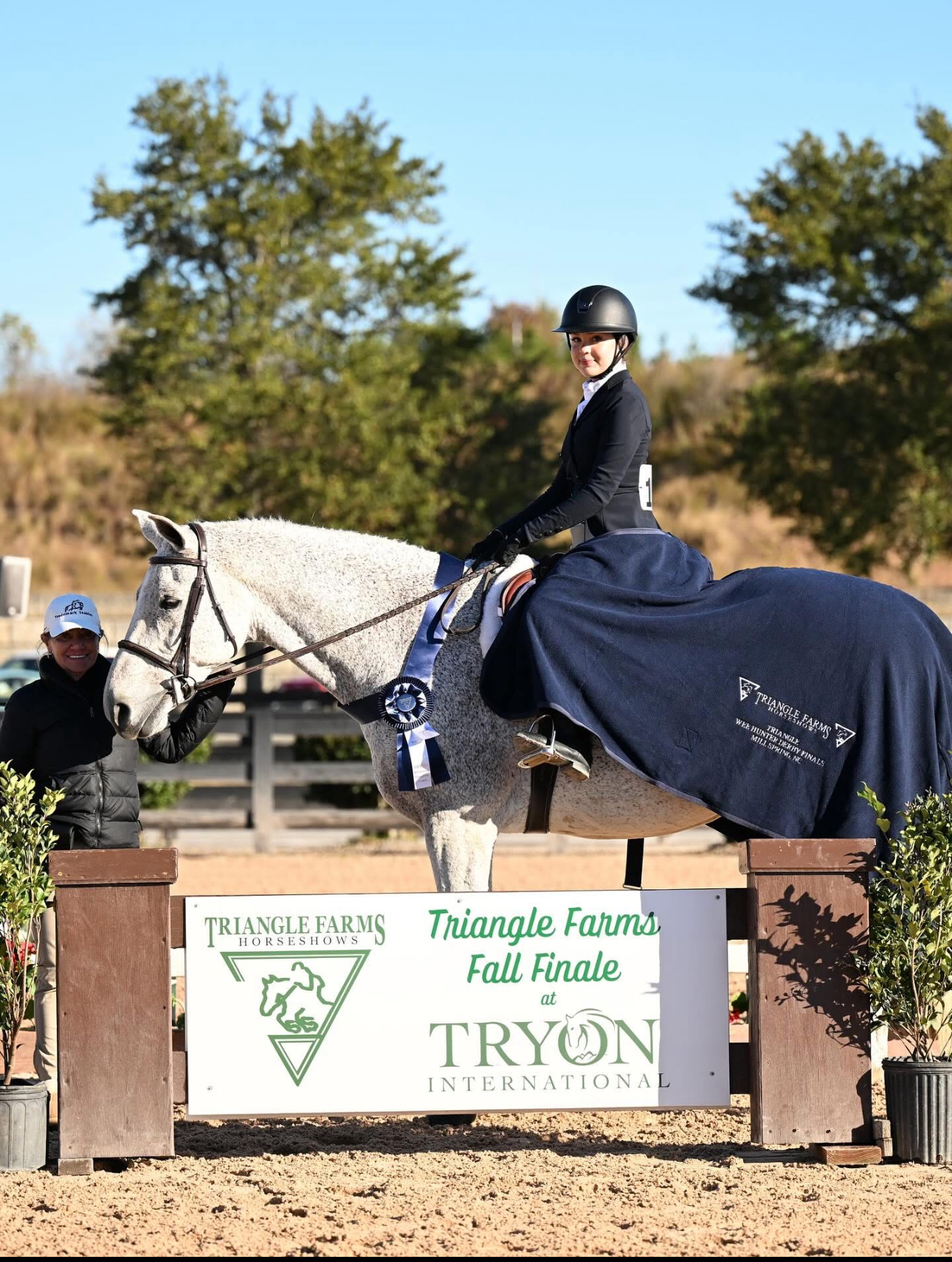 2009 16.2 hand Warmblood Gelding BIGEQ +