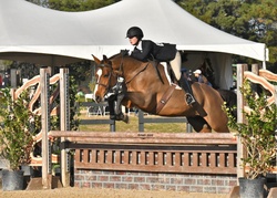 Uptown Girl Hanoverian Hunter photo 1