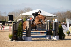 Hero v/d Bovenhoekshof Dutch Warmblood Equitation photo 2
