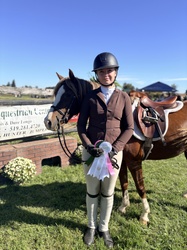 Golden Dream PF German Riding Pony Hunter photo 7