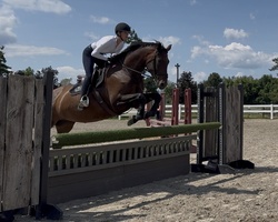 Primrose Oldenburg Jumper photo 1