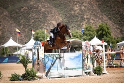 Raspberry Beret Belgian Warmblood Jumper photo 2