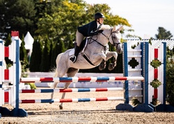 A Million Dreams TB Jumper photo 1