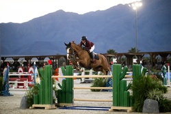Raspberry Beret Belgian Warmblood Jumper photo 1