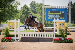 Imajacres Carpe Diem Hanoverian Hunter photo 2