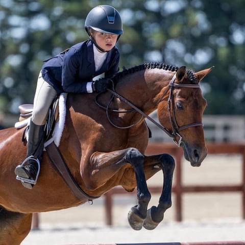 Woodlands Gold Locket