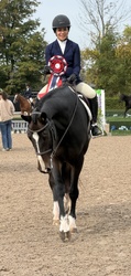Dalmore Oldenburg Hunter photo 3