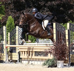 Cordell Oldenburg Hunter photo 1